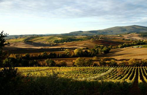 Casina Di Cornia - Foto 28