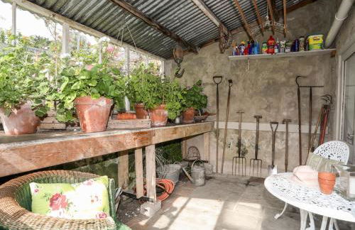 Bryn Tegid - Foto 33