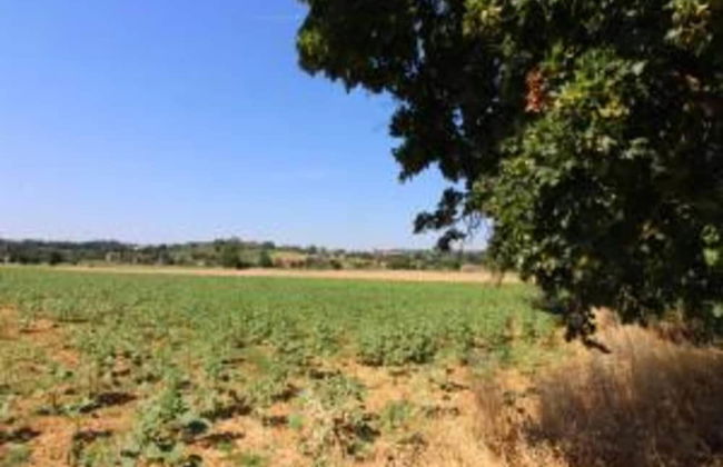 Poolside Vacation Home, Foiano - Foto 25