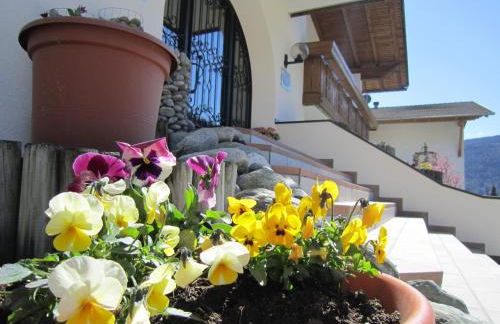 Aparthotel Garni Haus Hubertus - Foto 26