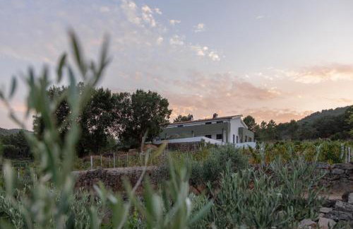 Raposa Verde - Agroturismo - Foto 10