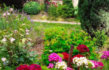 Casetta-Felicita - Foto 15