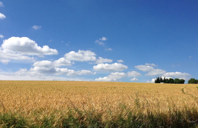 Holiday Home in Prunn Near Prunn Castle - Foto 45