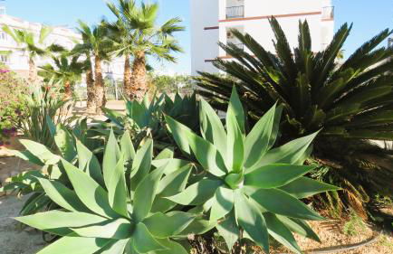 EL NIDO with pool and garden view close to beaches - Foto 17