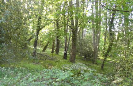 Doonbank Cottage Bothy - Foto 15
