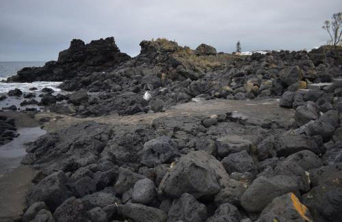 Casa Cruzeiro AL - by the sea OCEANTUR - Photo 25