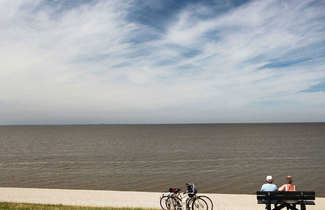 Nicely Decorated Villa with Garden near Sea - Foto 28