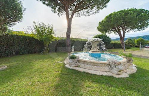 Albero del Pepe 2 - Goelba - Foto 20