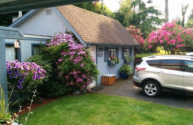 Salty Towers Oceanfront Cottages - Foto 47