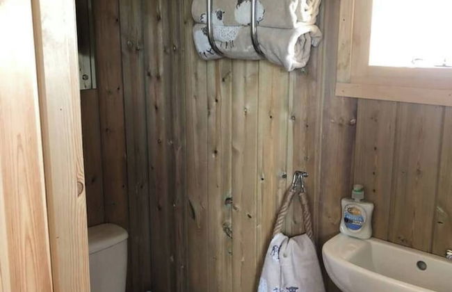 The Shepherds Hut at Hafoty Boeth - Foto 11