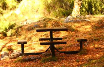 Cota 1500 - Chalé 51 - Penhas da Saúde - Foto 30