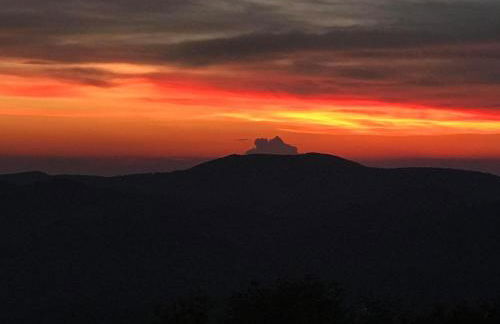 Silverleaf - Foto 20