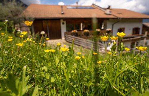 Apartment Ida - Obermösslhof - Photo 28