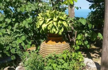 Xrysanthi's dream house - Foto 49