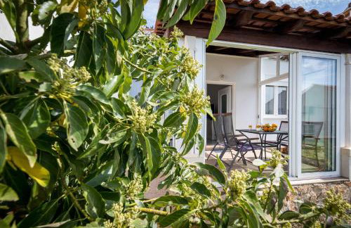 Avocado Apartment - Foto 34