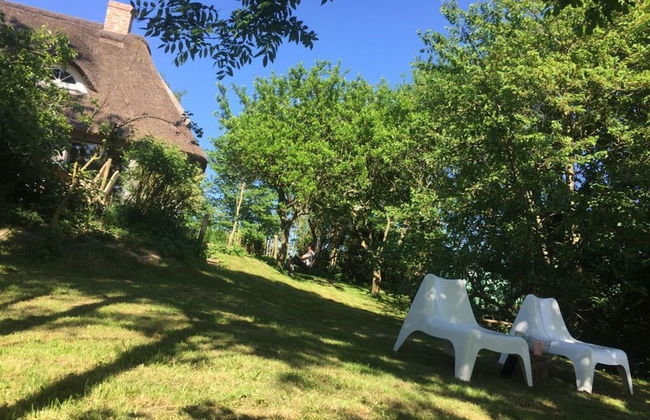 Holidays in Happiness - Foto 28