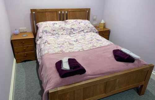 Sea Shells - Foto 24