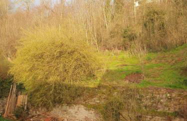 Gegenüber der Mühle - Photo 11