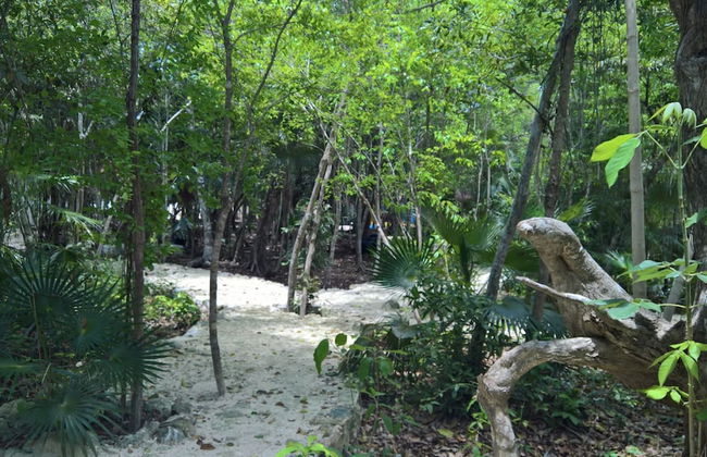 Tu Casa Condos - Photo 20