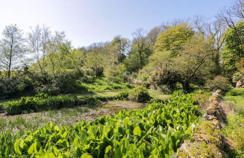 Claymoddie - Foto 49