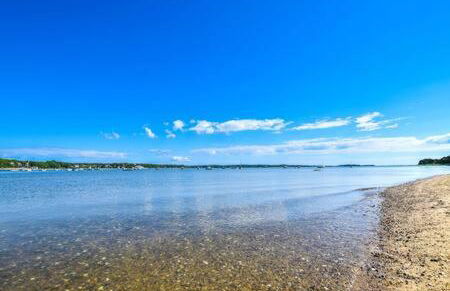 Bring your pups to Chatham Direct access to the Cape Cod Rail Trail - Foto 41