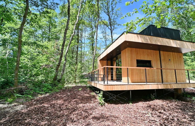 Lodge in Oignies Forest With Eco Design - Foto 18