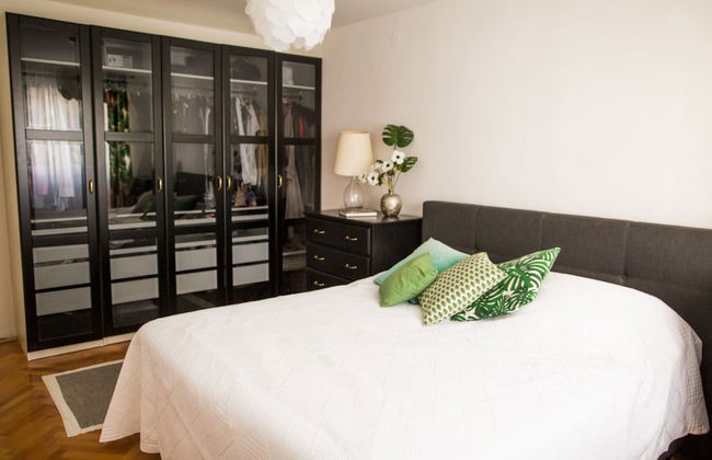 Cozy apt Within Walk Distance to Center and Beach - Photo 4