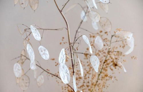 Haus Doktor Saeltzer - Photo 73