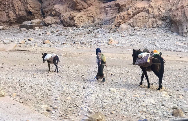 Excursão privada saindo de Ouarzazate - Foto 4