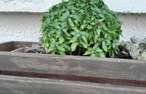 Costa Mama VIlla - Photo 59