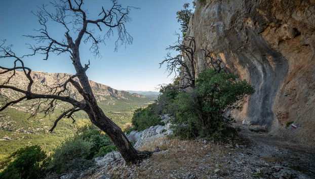 Randonnée dans le Golfe d'Orosei - Photo 4