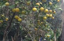 Piccolo Recanto - Foto 63