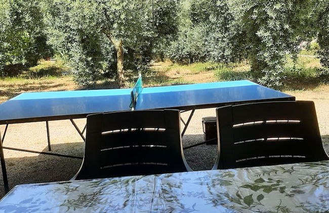 Relax - Olive And Sea Sperlonga - Foto 9