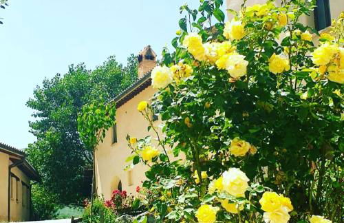 Agriturismo Il Covo del Solengo - Foto 42