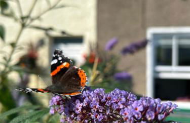 The Stopping Point Stylish Coastal Retreat near Cartmel & Lake District - Foto 17