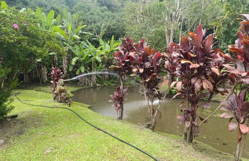 Refúgio Atlântico - Foto 22