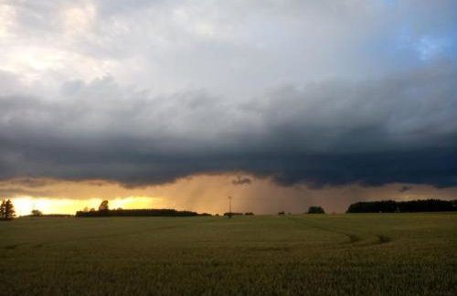 Fischstübchen Neeberg Fewo 4 – Schwalbennest - Foto 62