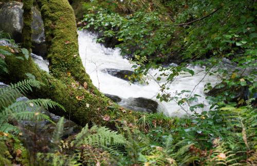 Panoramic Mountain Retreat - Waen Fechan - 4x4 access only - Foto 51