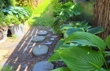 L'atypique du buisson de la gariole - Foto 72