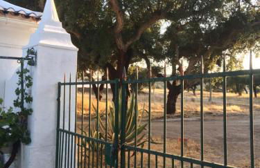 HORTA do RAMALHAÕ - Foto 3