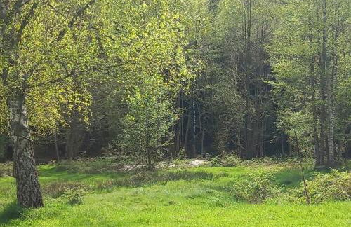 Nature Retreat in Lorraine - Foto 50