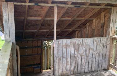 Explore Austin & San Antonio with friends & family - Foto 25