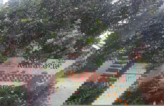 Ramidahost2 - Photo 23