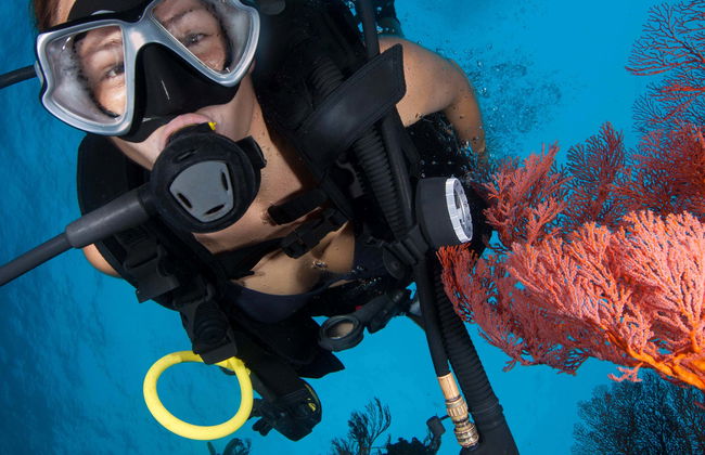 Immersione ad Addu - Foto 5