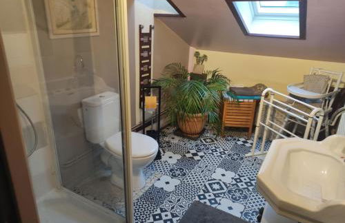 hô choucas - Foto 39