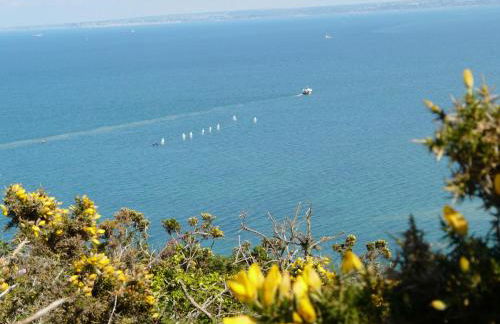 Studio des Rosaires - Foto 16