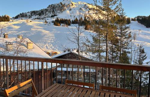 NOUVEAU appartement neuf 4 à 6 personnes dans la station du Chinaillon, Grand-Bornand - Photo 20