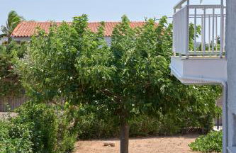 D & K Vacation Villa Anavissos - Photo 33