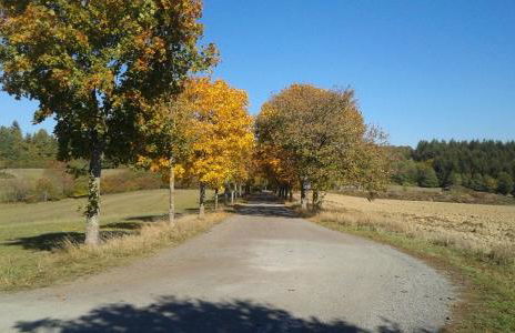 Eifeler Finnhaus mit Sauna, Mühlenberg 13 - Foto 42
