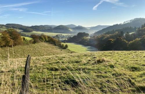 Holiday Home in Willingen-neerdar - Foto 53